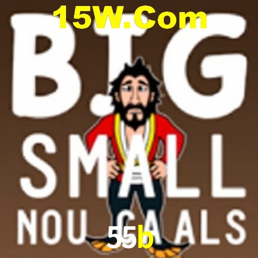 Login Seguro 55b